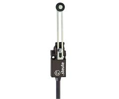 14729301 Steute  Ex Position switch ExM 14 DS 1m IP65 (1CO) II 2G Ex d IIC T6